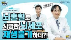 뇌출혈로 인해 사망한 뇌세포는 재생할 수 없다??
